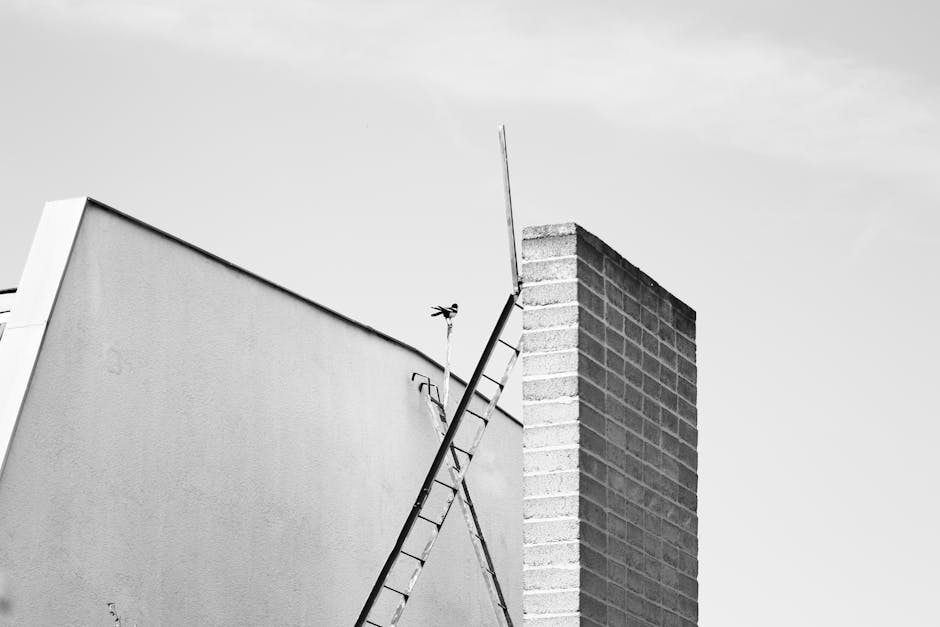 A ladder against a wall representing assistance and reaching higher